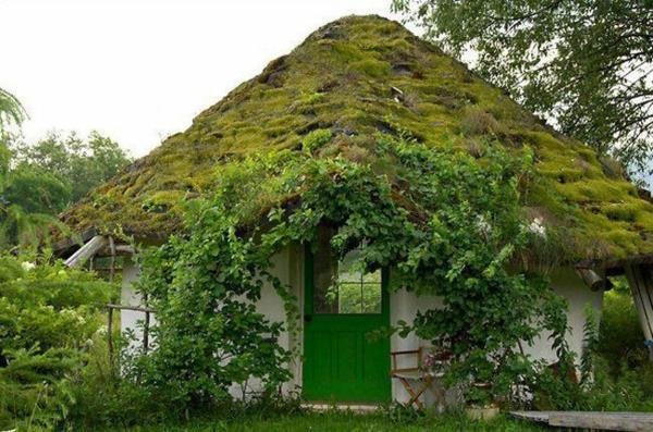 patio vihreä katto puutarhavaja maisemointi kaunis patio vihreä katto puutarhavaja maisemointi