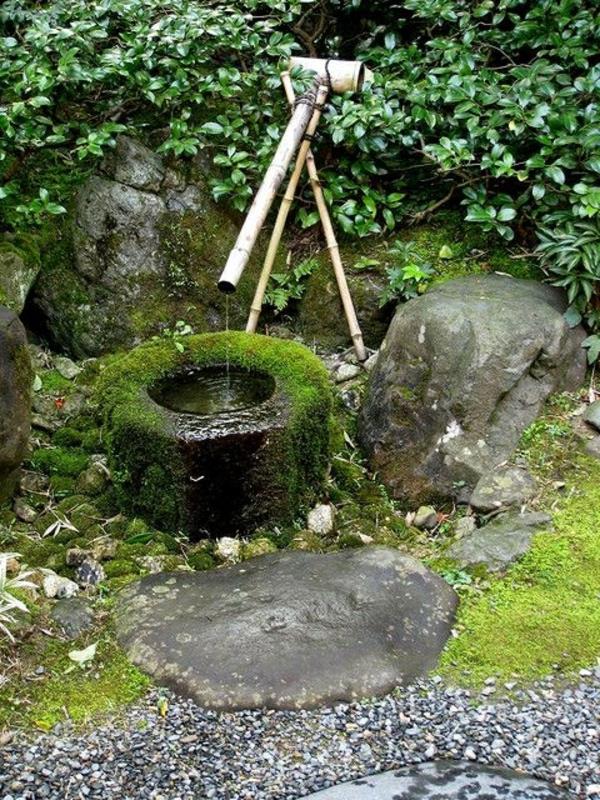 zen -puutarha luo sammalvesiominaisuuden