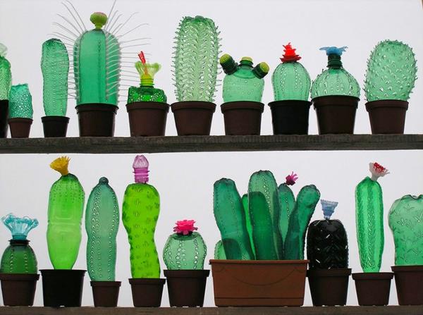 lemmikkipullot taidekasvit kaktukset