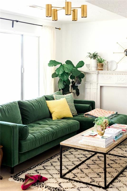 kasvi isoilla lehdillä vihreä sohva