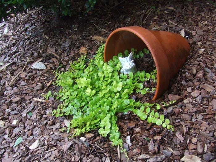 planter pieni kukkaruukku keraaminen multaa