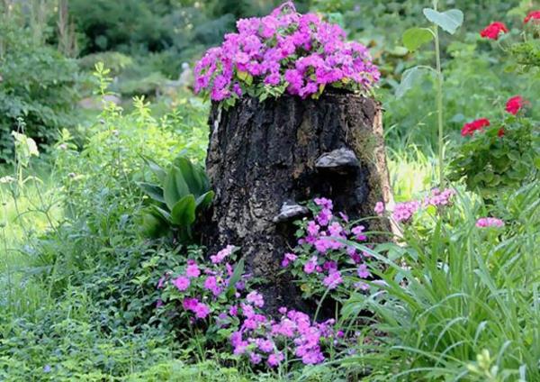 Kasvi potin puu kanto herkullinen petuniat violetti