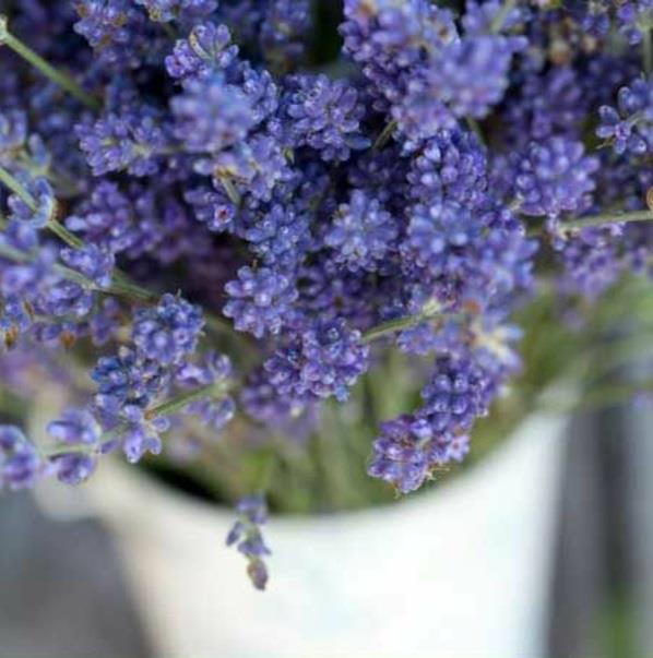 helppohoitoinen parveke istuttaa violetteja kukkia