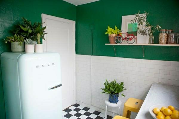 helppohoitoiset kauniit huonekasvit vihreä seinäväri