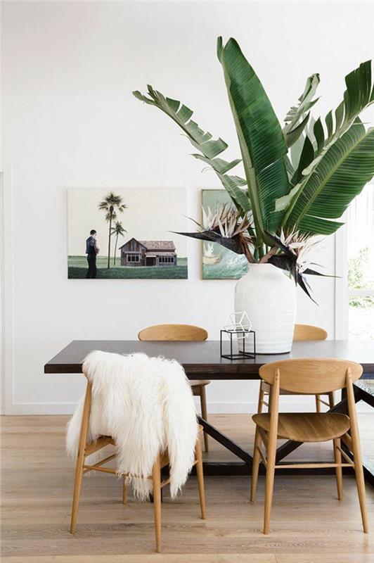 helppohoitoiset huonekasvit kuvat ruokapöytä koristele ruukkukasvi