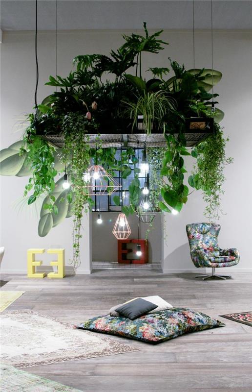 helppohoitoiset huonekasvit kuvat riippuvat kasvit riippuvalaisimet