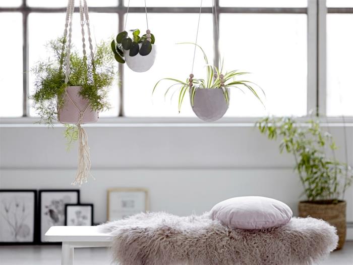 helppohoitoiset huonekasvit kuvat riippuvat kasvit