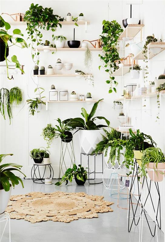 helppohoitoiset huonekasvit kuvat luova seinäsuunnittelu vihreillä kasveilla