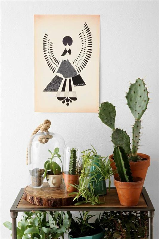 helppohoitoiset huonekasvit kuvat kaktukset kaktuslajit