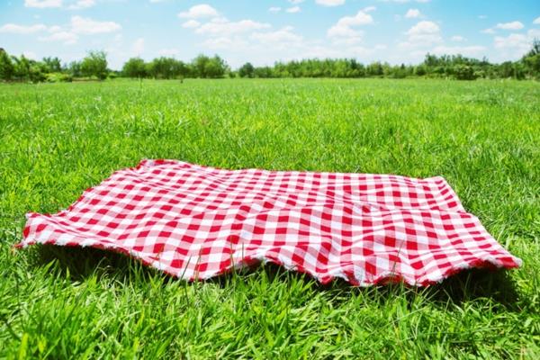 piknik -viltti ruudullinen punainen valkoinen