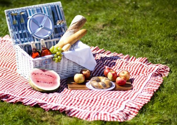 piknik viltti kuvio hapsutetut ruoka luonne