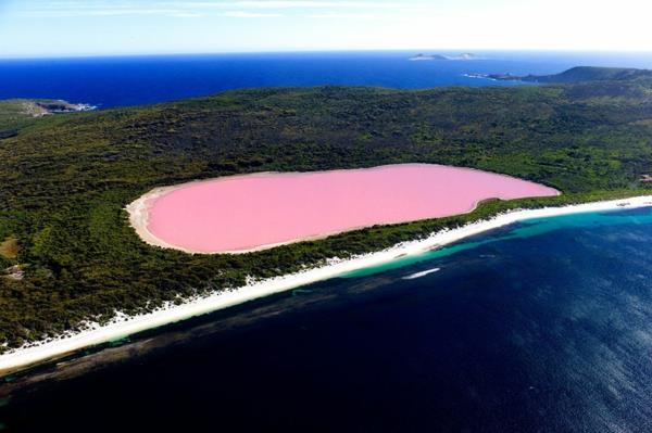 planeetta maa järvi hillier australia