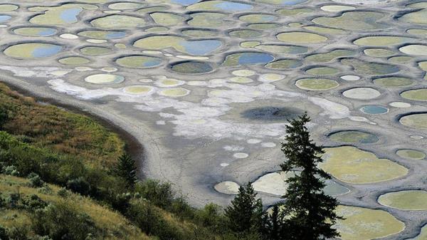 planeetta maa täplikäs järvi kanada