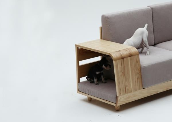 helppohoitoinen lemmikki sohva kissa koira