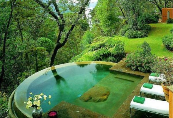 puutarha uima -allas suunnittelu ulkoalue ylellinen metsä luonto vihreä tuore