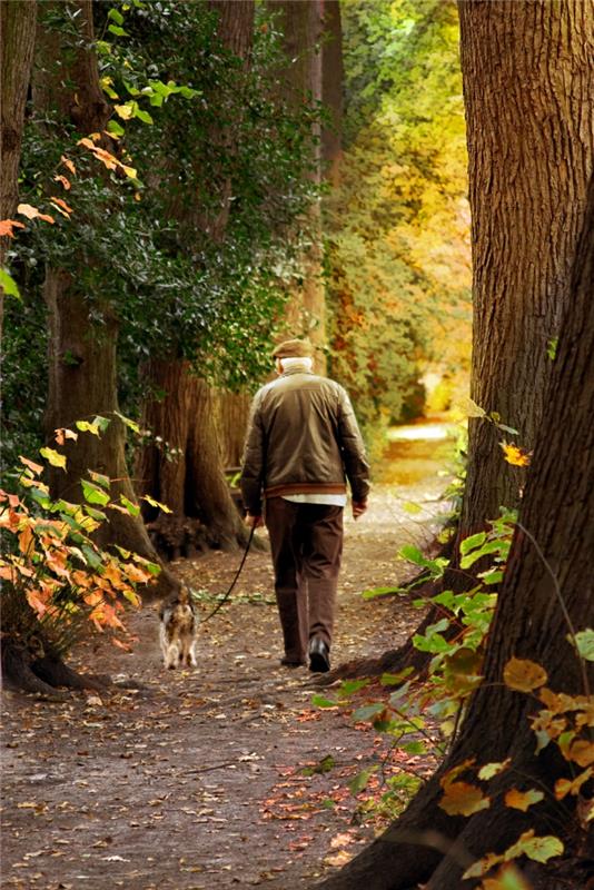ajattele positiivisesti opi kävelemään luonteeltaan vanha mies koira