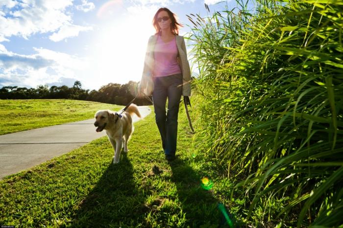 oppia positiivisen ajattelun koira kävely luonto