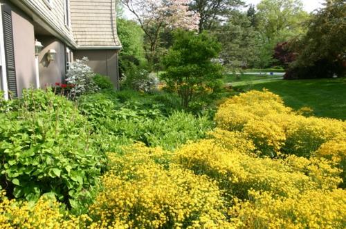 Rehevät kasvit hyvin hoidetussa puutarhassa keltaiset kukat punaiset kukat