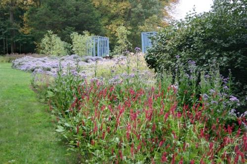 Rehevät kasvit hyvin hoidetussa puutarhassa reunustavat violetinpunaiset nurmialueet