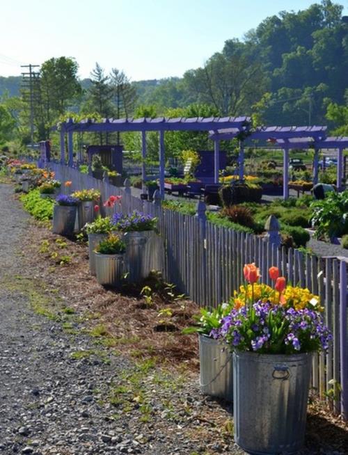 käytännöllinen puutarhasuunnittelu metalliruukut kasvit aita violetti