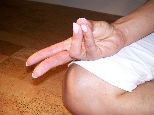 pran-mudra Yoga 1