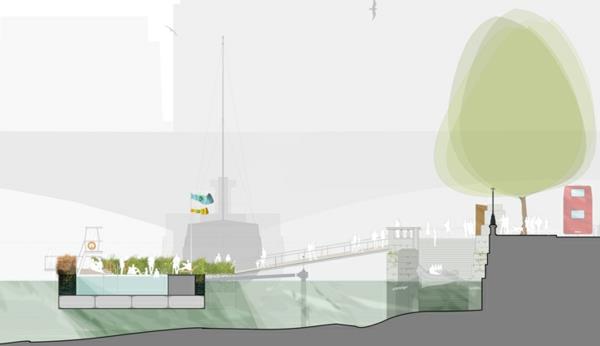 projekti uima -altaan suunnittelu luonnollinen uima -allas thames -altaan arkkitehtuurisuunnitelmat