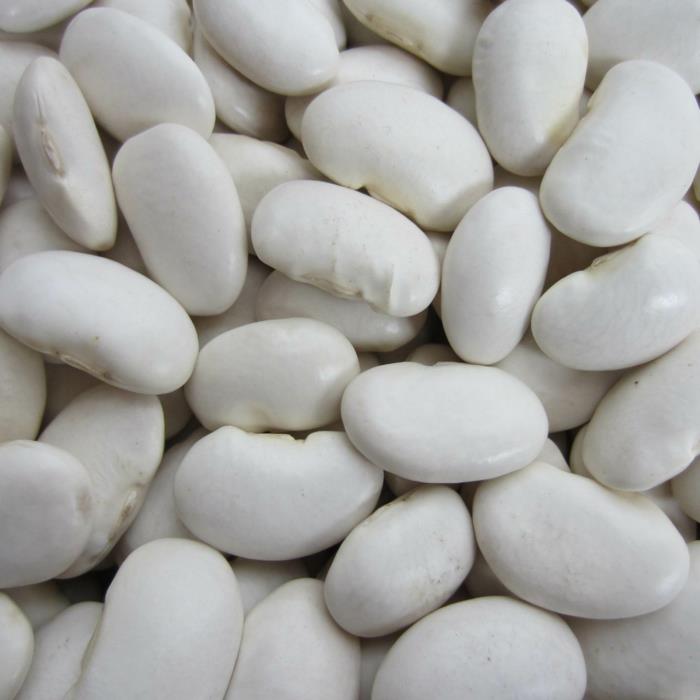 proteiinilähteet pavut valkoinen papu terveellinen ruoka