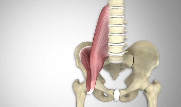 psoas lihakset terve selkä