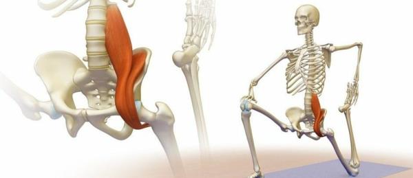 treenaa psoas -lihaksia