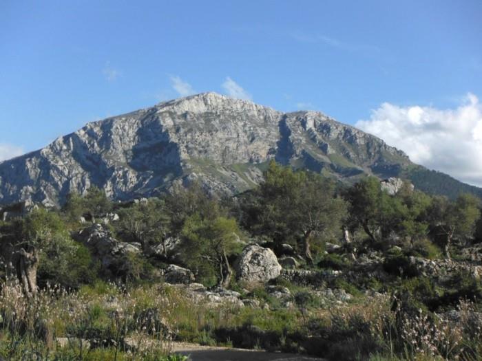 puig tomir serra de tramuntana vaellus mallorcalla