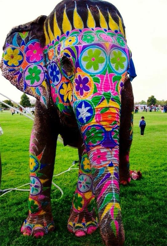 matkustaa intiaan intia matka intialainen kulttuuri norsu maalattu