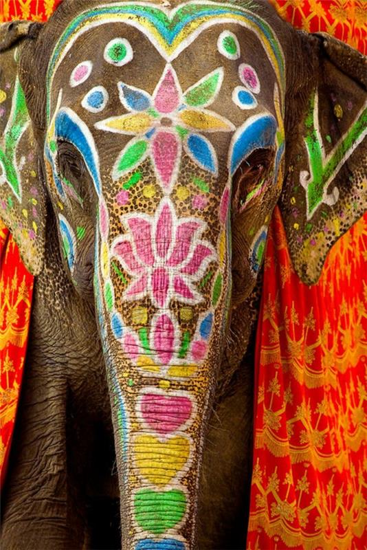 matkustaa intiaaniin intian kulttuuriin maalattuja norsuja