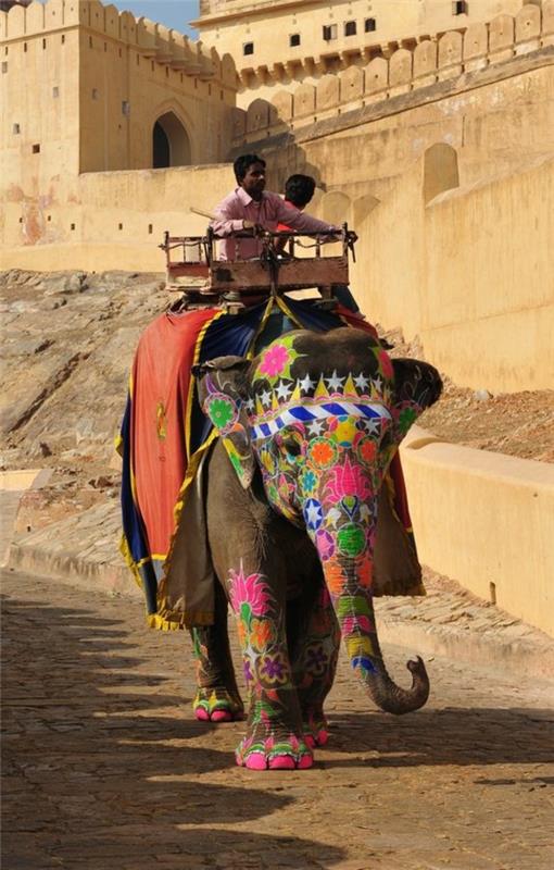 matkustaa intiaaniin intialaisen kulttuurin norsu