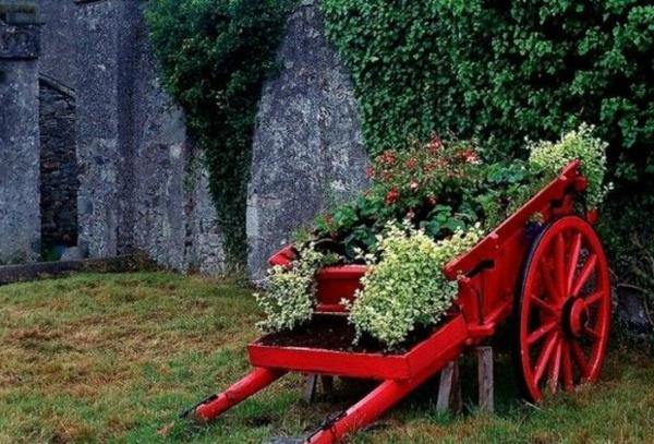 vaunu puu maalatut punaiset kasvit maisema puutarha tarvikkeet ja puutarhakoristeet