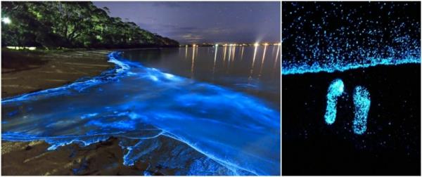 romantiikka viikonloppu saari vaadu malediivit phytoplankton