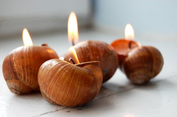 romanttiset elävät diy -lyhdyt etanat