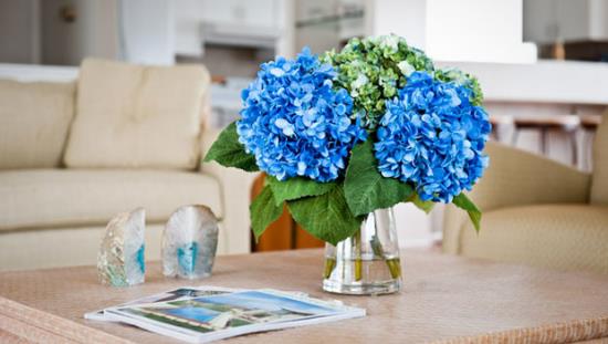 romanttiset kukat hydrangeas maljakossa pöydän koristeena