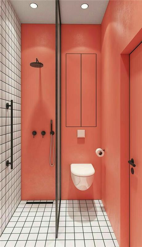vaaleanpunaiset sävyt seinämaali kattokoralli -wc