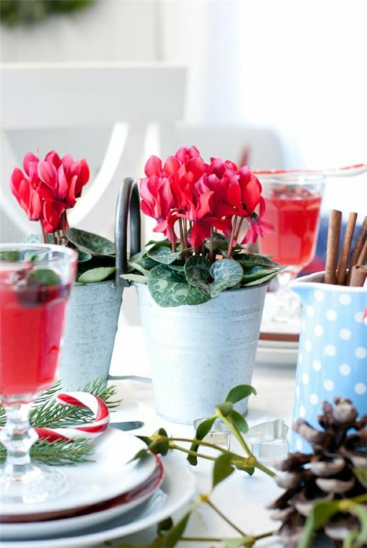 punainen syklaami pöytäpöytä koristelu kukat sisäkasvit