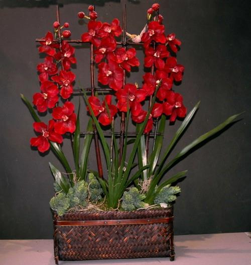 punainen orkideat puu neliön potin sisustusidea