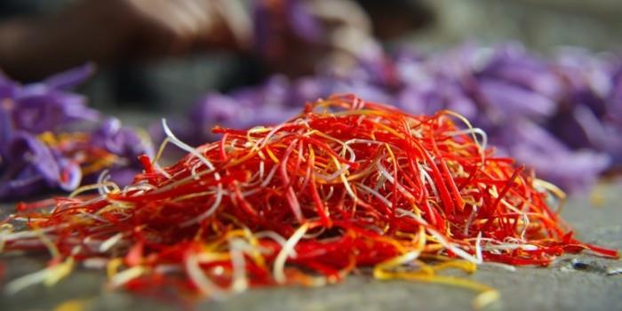 sahrami mauste lääkekasveja elää terve sahrami kukka käsittely
