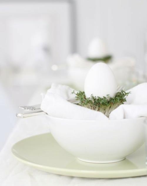 kulholautanen munanvalkuainen kangas tuore pääsiäinen koristepöytä