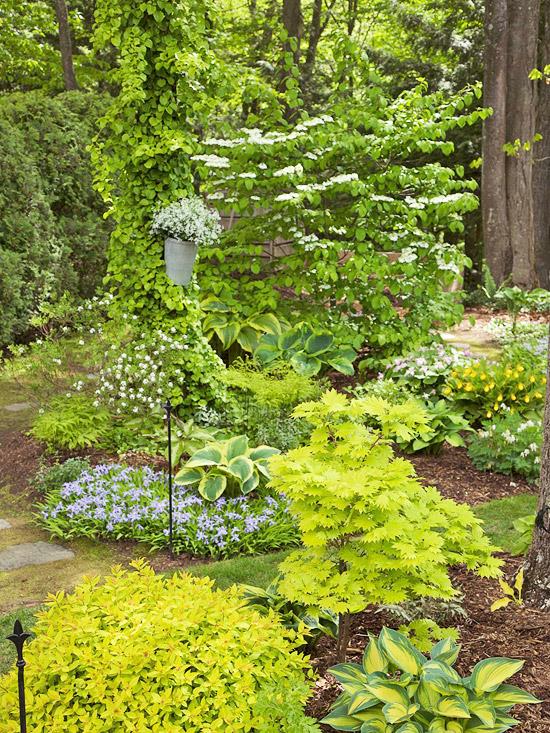 varjo puutarha kevät idea viehättävä daylilies