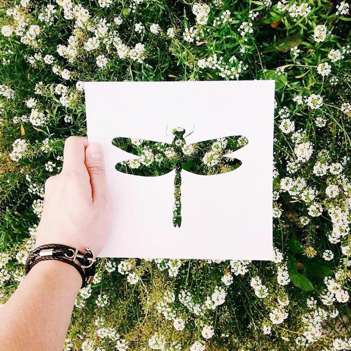 Paperileikattu malli sudenkorento kenttä kukkia valkoisia kukkia