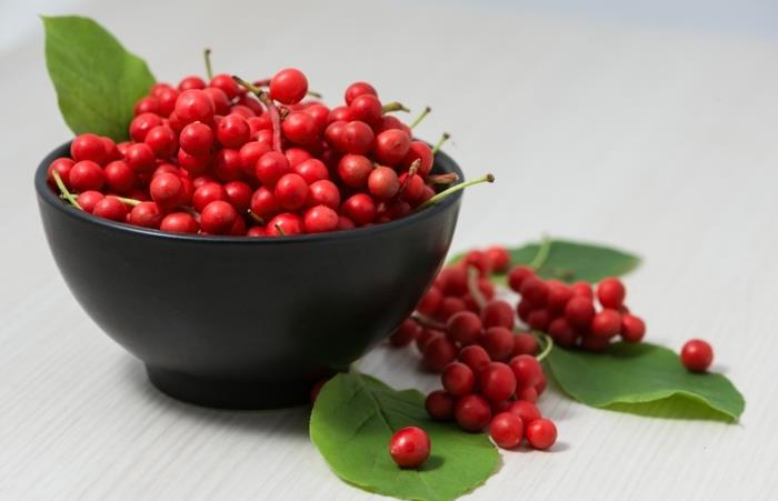 schisandra marjat kiinalainen terveellinen ruoka