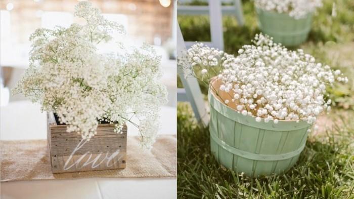 gypsophila paniculata hääkoristeeksi