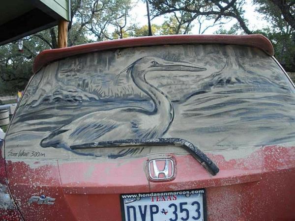 likainen autot taide pöly maalaus lintu
