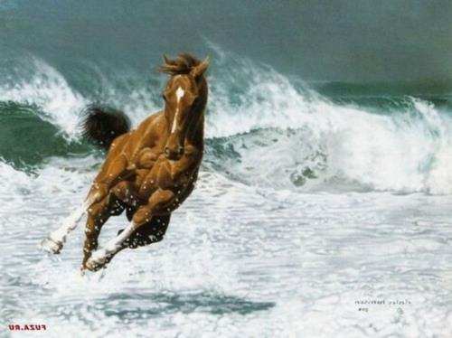 kauniit hevoset ruskea ruskea vesi juokseva meri
