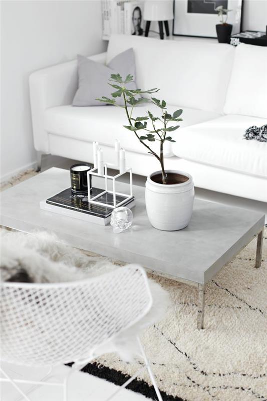 kauniit huonekasvit helppohoitoinen sohvapöytä betoni koristele ruukkukasvi