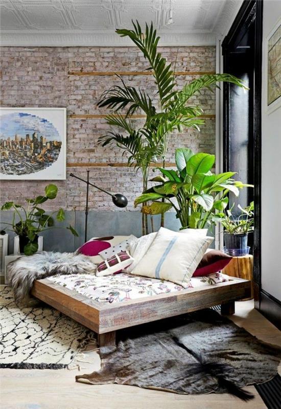 kauniit huonekasvit helppohoitoinen maalaismainen huonekalut vihreät kasvit